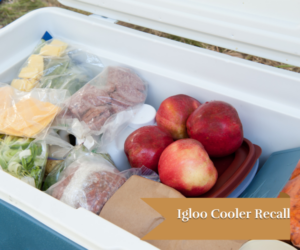 an example of a cooler with foods inside to keep them cool